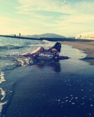 Анкета проститутки Стелла - метро Ломоносовский, возраст - 21