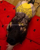 Анкета проститутки Кристина - метро Тверской, возраст - 28